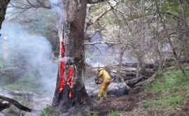 Más de 2 mil brigadistas combaten el incendio en Los Alerces a 22 días de su inicio