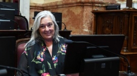 Edith Terenzi criticó los DNU de Milei y cuestionó su peso en el Congreso