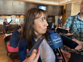 Roxana Reyes dijo que “el gas es una prioridad para los patagónicos”