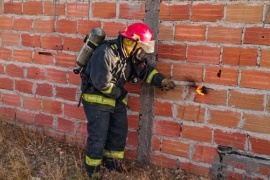 Bomberos intervinieron en una vivienda por un nido de avispas