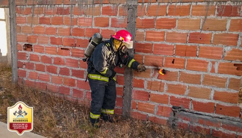 Bomberos intervinieron en una vivienda por un nido de avispas 