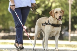 Perros Guía o Asistencia: todo lo que necesitás saber