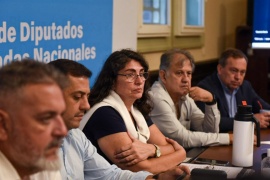 Diputada Ana Ianni: “Nada que sea inconstitucional puede ser acompañado”