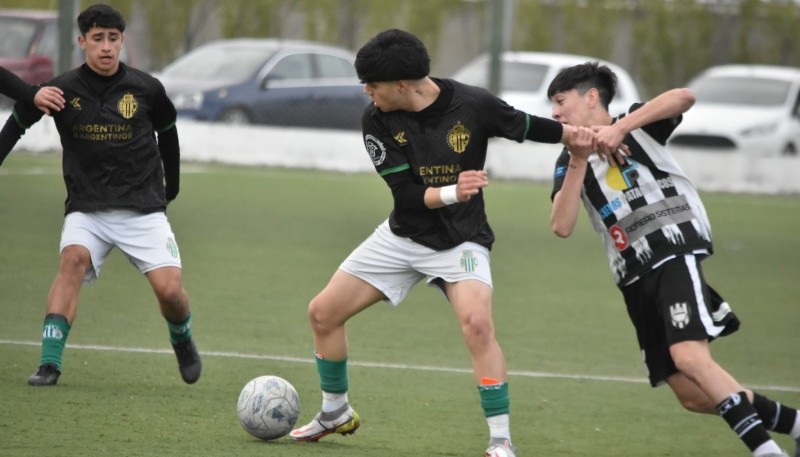 El Albiverde está listo para defender el título en todas las categorías. (Foto: Boxing Club)