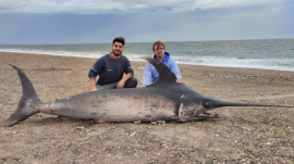 Hallan un pez espada en la costa de Puerto Lobos