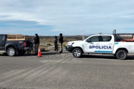 Decomisan carne de guanaco en operativo de control vehicular