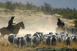 Prestación por desempleo ante la temporada baja en Santa Cruz