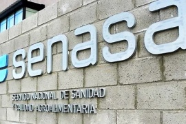 SENASA hará un paro de tres días: se frenan las exportaciones desde el lunes