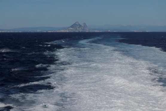 Orcas hundieron un velero en el estrecho de Gibraltar