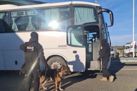 División Canes llevó a cabo controles vehiculares 