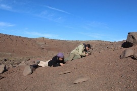 Hallan un lagarto de 70 millones de años