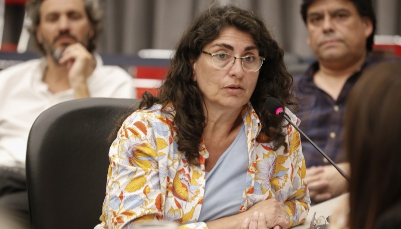 Diputada Ana María Ianni.