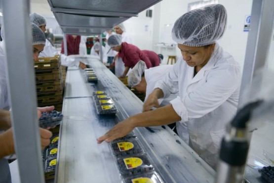 Cada vez se necesitan destinar más horas de trabajo para llevar comida a la mesa