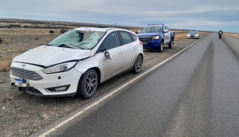 Un hombre hospitalizado tras colisionar contra un guanaco 