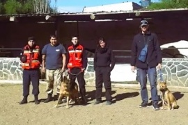 Bomberos Voluntarios Solicitan Ayuda para su División Canina