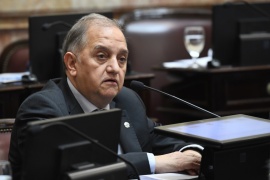 Senador Linares adelantó su voto negativo 