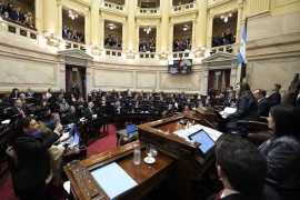 El Senado también aprobó el paquete fiscal en general