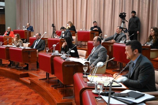 Diputados aprobó el pliego de Raidan para el STJ y la Emergencia Comercial en la provincia