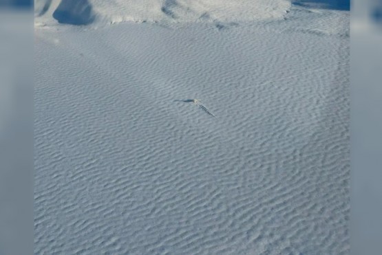 Aterrizó de emergencia en un lago congelado y desarmaron su avión para poder recuperarlo