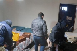 Incauta municiones y droga durante un allanamiento