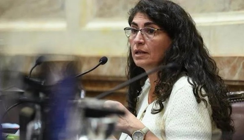 Diputada Ana María Ianni.