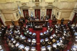 El Senado vuelve a activarse en agosto: uno por uno, los temas que moverán la agenda