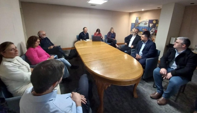 Reunión de funcionarios de las carteras sanitarias de las provincias patagónicas.