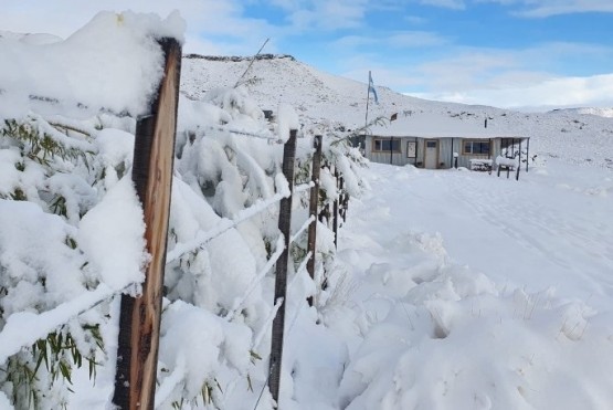 Alerta por nieve en Santa Cruz