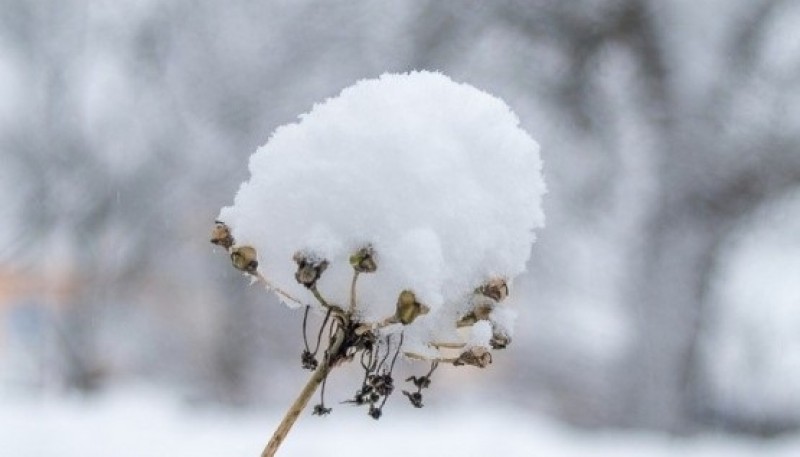 Nueva alerta por nieve en Santa Cruz.