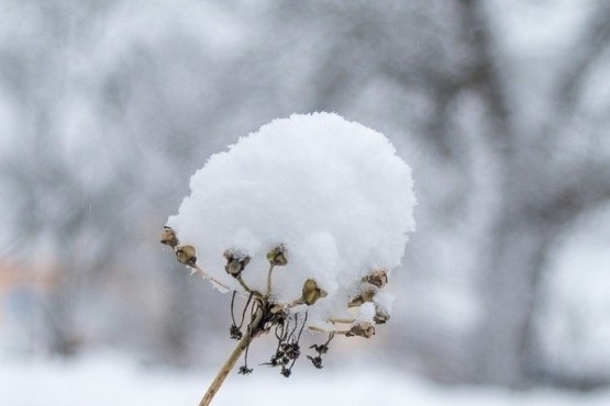 Nueva alerta por nieve en Santa Cruz.