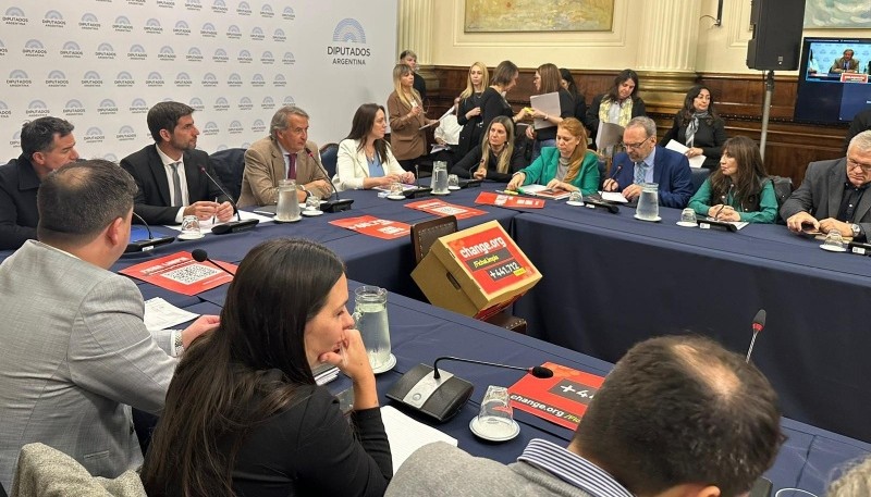 Diputados nacionales debaten en torno a Ficha Limpia.