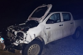 Camioneta chocó con un guanaco cuando regresaba a Pico Truncado