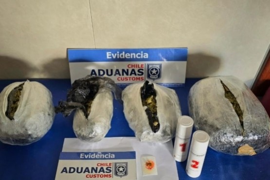 Gracias al olfato canino: Aduana incauta 2,7 kilos de marihuana en Puerto Natales