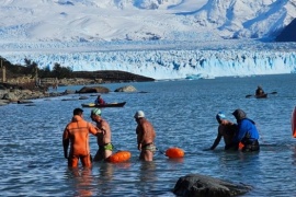 El Glaciar Perito Moreno recibió a nadadores de todo el mundo