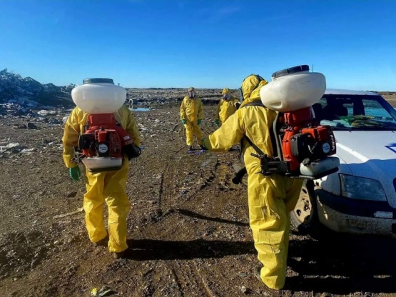 El Municipio ya inició tareas de fumigado en el Vaciadero