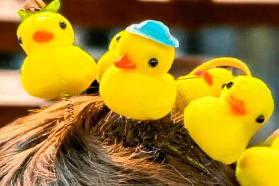 Lo cierto es que los patitos kawaii se volvieron tendencia en muchos países y las redes sociales como Instagram y TikTok se encargaron de viralizarlos.