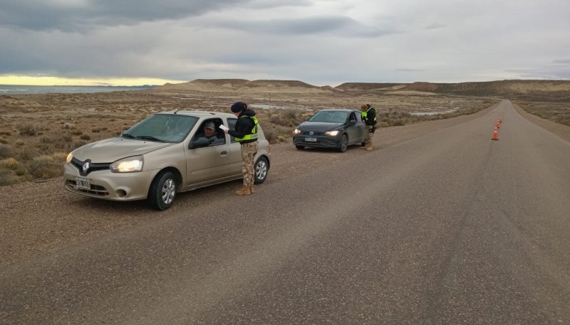 Detenido por portación de arma sin documentación y animal faenado 