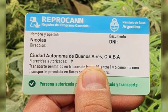 Salud avanza en el reordenamiento del Registro del Programa Nacional de Cannabis Medicinal