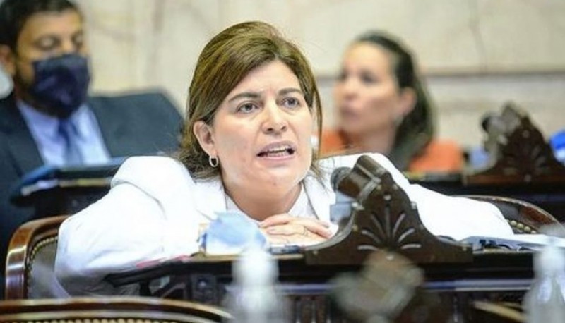 Diputada Ana Clara Romero 