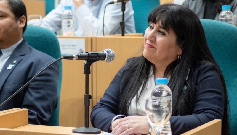 La diputada Patricia Urrutia expresó su preocupación por la situación de los jóvenes, enfatizando la necesidad de brindarles apoyo para asegurar un futuro para la provincia.