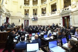 LLA en el Senado quiere aprobar la boleta única