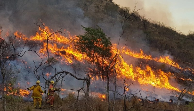 Córdoba enfrenta un devastador incendio forestal: más de 10.000 hectáreas dañadas