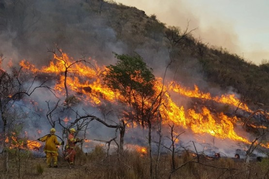 Córdoba enfrenta un devastador incendio forestal: más de 10.000 hectáreas dañadas