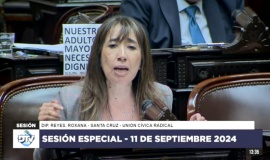 Diputada Reyes adelantó su abstención al veto por la reforma jubilatoria 