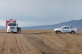 Detectan irregularidades en el traslado de ganado en la zona del Lago San Martín