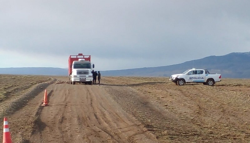 Detectan irregularidades en el traslado de ganado en la zona del Lago San Martín 