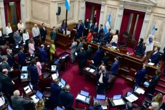 El Senado pospuso el tratamiento del financiamiento de la SIDE