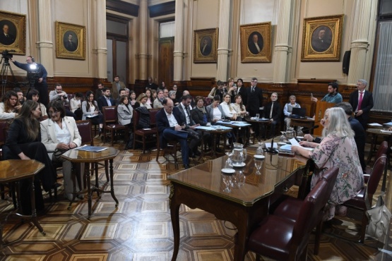 Comisiones del Senado 