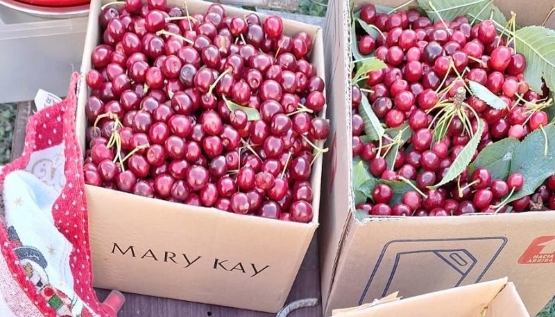 Cerezas de la Cuenca 