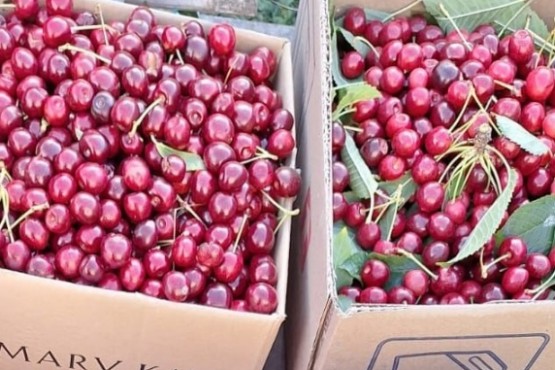 Cerezas de la Cuenca 